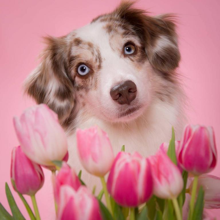 Lieblingsbild Fotografie