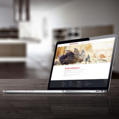 Webseite DieSchreinerWerkstatt