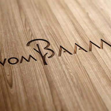 logo vom Baam