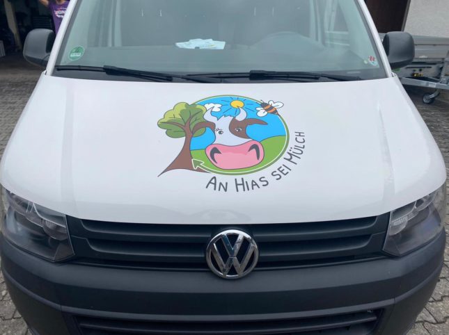 VW T6, Bus, beklebt, foliert