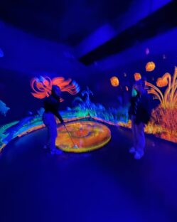 Teamausflug, Laser, Minigolf, Nürnberg